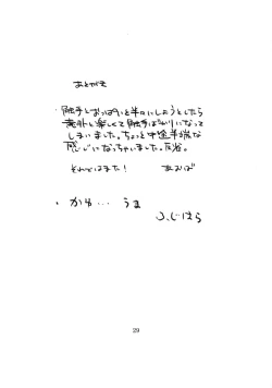 Page 29 of Pachupunte