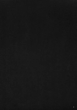 Page 3 of Tenko no Chichigami-sama Ni