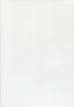 Page 2 of Oyurushi Master