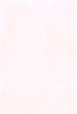 Page 4 of Loli Gurui