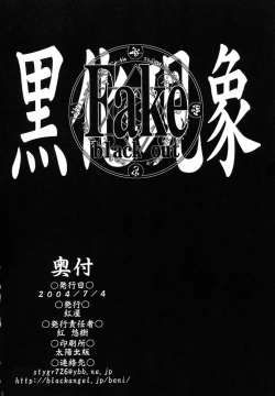 Page 29 of Fake black out SIDE-A