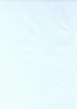 Page 2 of Puchi  Petit