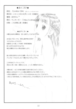 Page 12 of Limitter C84