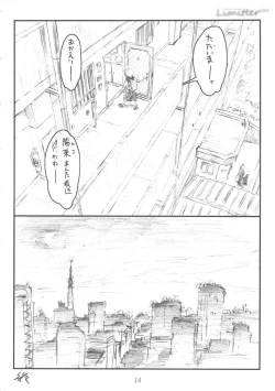 Page 13 of Limitter C84