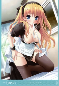 Page 114 of MOEOH Selection Artbook: Motto Otona no Moeoh