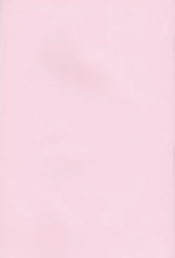 Page 2 of STRAWBERRY ON THE SHORTCAKE