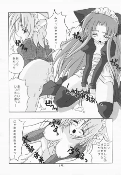 Page 15 of Neko Maid no Shitsukekata