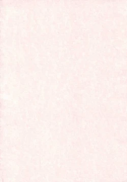 Page 27 of Neko Maid no Shitsukekata