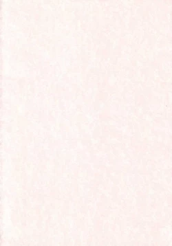 Page 2 of Neko Maid no Shitsukekata