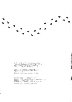 Page 13 of Honji 1/2