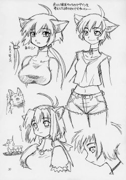 Page 29 of Amakudari