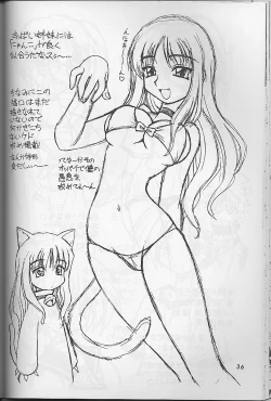 Page 35 of Wasshoi Wasshoi ToHeart