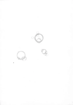 Page 159 of Love Pet 1x1