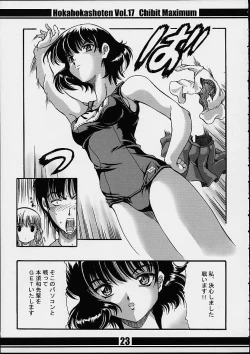 Page 22 of Chibit Maximum