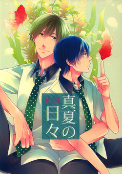 Download Manatsu no hibi