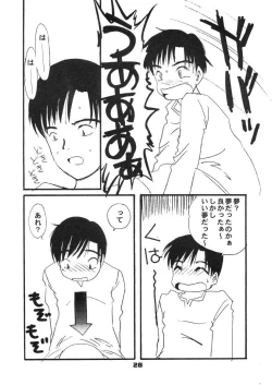 Page 29 of Chokotone