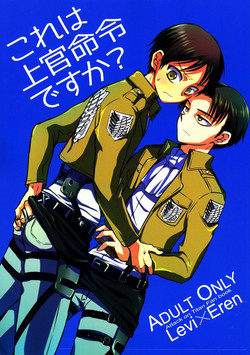 Download Kore wa Joukan Meirei-desu ka?