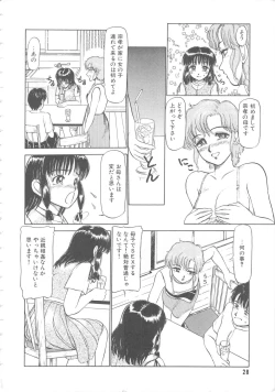 Page 28 of Mizukagami no Mukougawa