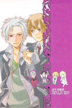 Page 2 of DT Kouryakuhon