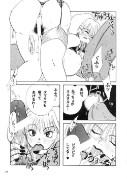 Page 16 of MODEL CAPCOM