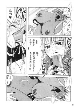 Page 17 of MODEL CAPCOM