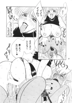 Page 23 of MODEL CAPCOM