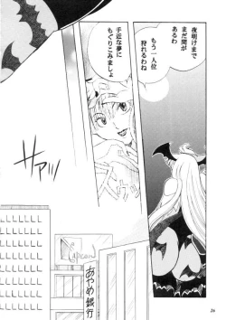 Page 27 of MODEL CAPCOM