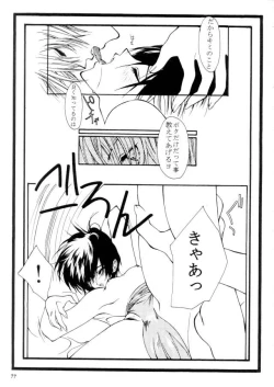 Page 78 of MODEL CAPCOM