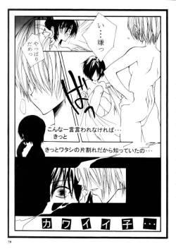 Page 80 of MODEL CAPCOM