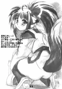 Page 23 of Magical Girl H Nanoha