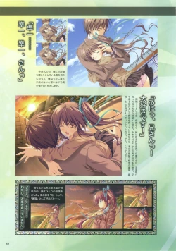 Page 31 of Akane Iro ni Somaru Saka Official Fanbook