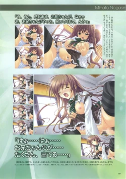 Page 32 of Akane Iro ni Somaru Saka Official Fanbook