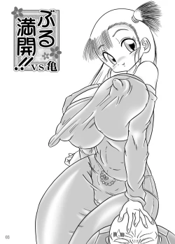 Page 2 of Bulmankai!! vs Kame Chokotto Shuuseiban