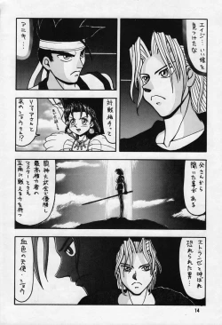 Page 14 of Cameleon Technology Ver. 1