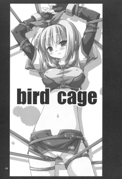 Page 2 of Bird Cage