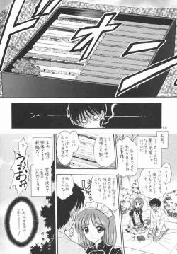 Page 11 of Chouyou no En
