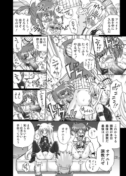 Page 14 of IRIE YAMAZAKI 「な○は&フェ○ト」アナル&スカトロ作品集