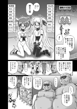 Page 24 of IRIE YAMAZAKI 「な○は&フェ○ト」アナル&スカトロ作品集