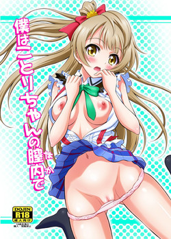 [GUST (Harukaze Soyogu)] Boku wa Kotori-chan no Naka de (Love Live!) [Digital]