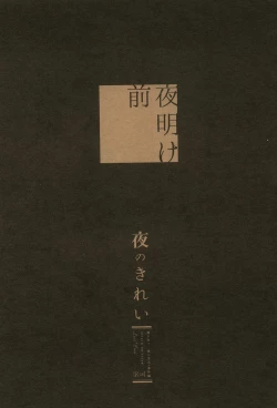 Page 20 of Yoru no Kirei