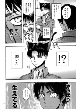 Page 4 of Nekomimi Heichou ga Hatsujoushiteru Dake no Hon