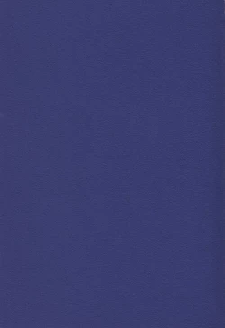 Page 191 of Evangelium Aeternitatis Eien no Fukuinsho i-ii + Omakebon