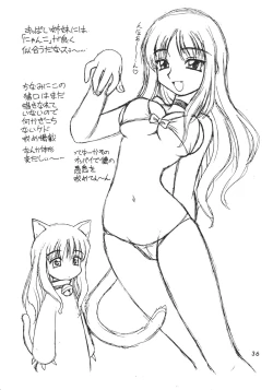 Page 35 of Wasshoi Wasshoi ToHeart