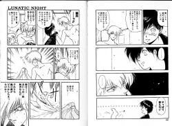 Page 25 of Lunatic Night 1