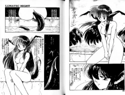 Page 19 of Lunatic Night 3