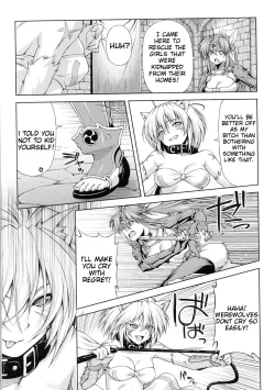 Page 23 of Lightning Warrior Raidy10