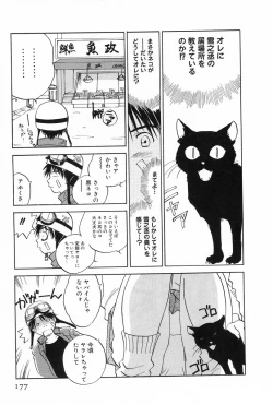 Page 177 of Maidroid Yukinojoh Vol.2