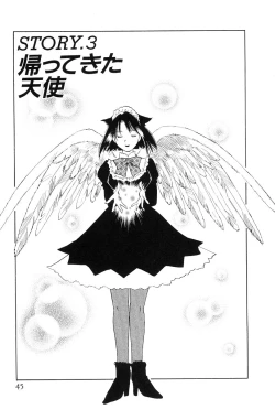 Page 45 of Maidroid Yukinojoh Vol.2