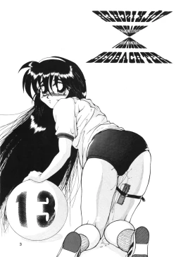 Page 2 of Volkischer Beobachter 13