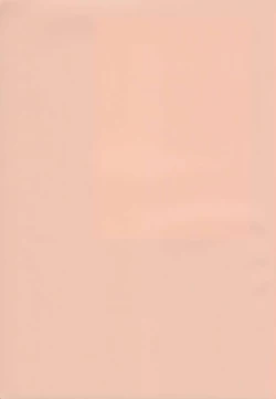 Page 2 of Tsuki no hikari